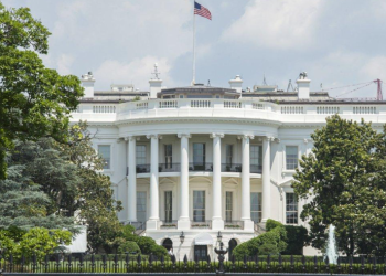 Politico: ევროპა ზელენსკისთან ერთად მოლაპარაკებებზე ტრამპის ფავორიტს გააგზავნის