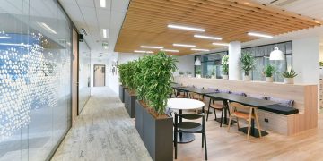 ფრანგული ჭერის 7 უპირატესობა და 1 ნაკლი, რომელიც აუცილებლად უნდა გაითვალისწინო