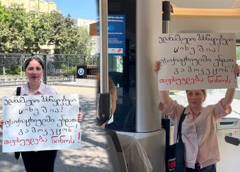 ერთი ქალის აქცია თბილისში