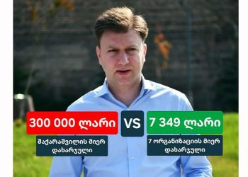 “ოცნებამ” სამშობლოს ღალატის ფასად 7 349 ლარი გამოაცხადა” – სალომე სიმონია