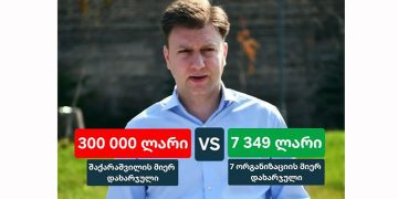 “ოცნებამ” სამშობლოს ღალატის ფასად 7 349 ლარი გამოაცხადა” – სალომე სიმონია