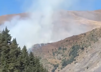 თუშეთში ხანძრის ქრობის სამუშაოებში სასაზღვრო პოლიციის ვერტმფრენი ჩაერთო