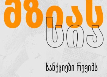 „მზიას სია“ – ქართველი ემიგრანტები ევროპარლამენტს სანქციების პაკეტის ინიციატივით მიმართავენ