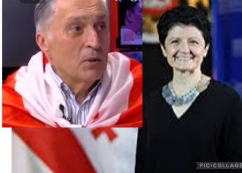 ,, დაატარებს ქართულ დროშას მოსკოვში ნაყიდი “ადიალასავით” და ასე შეურაცხყოფს იმას, რისთვისაც თითქოს იბრძვის” – თეა წულუკიანი