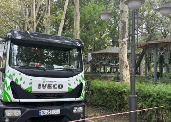 ვაკის პარკში ფანჩატურს, სადაც ბავშვები თამაშობდნენ და ღია გაკვეთილი მიმდინარეობდა, ხე დაეცა