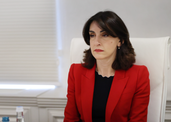 ბოჭორიშვილი EU-ის საგარეო საქმეთა მინისტრთა მინისტერიალზე არ მიიწვიეს – იოზვიაკი