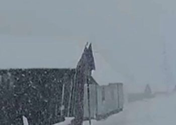 მაღალმთიან აჭარაში პირველი თოვლი მოვიდა