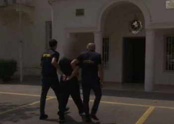 პოლიციამ თურქეთის რესპუბლიკის მიერ ძებნილი პირი დააკავა