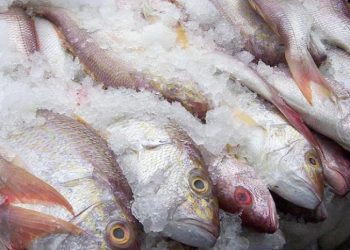 დაკავებულია ორი პირი, რომლებმაც ნორვეგიიდან ყაზახეთში მიმავალი ტრაილერებიდან ₾1,1 მლნ-ის თევზი გადმოტვირთეს და მიითვისეს