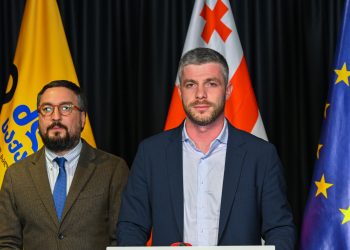 „სოლიდარობას ვუცხადებთ ლევან ხაბეიშვილს, გაბედულ პოლიტიკოსს და ადამიანს“