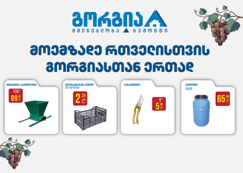 მოემზადე რთველისთვის გორგიასთან ერთად