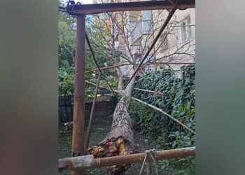 ძლიერმა ქარმა თბილისში გარკვეული პრობლემები შექმნა