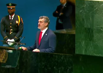 “ვითხოვთ!” – რა მოთხოვნები წამოაყენა ყაველაშვლმა გაეროში?