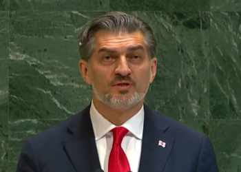 “მე წარმოვადგენ ქართველ ხალხს” – ყაველაშვილი გაეროს სესიაზე