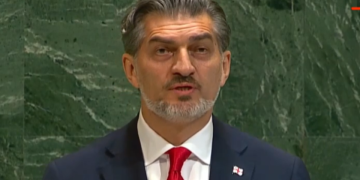 “მე წარმოვადგენ ქართველ ხალხს” – ყაველაშვილი გაეროს სესიაზე