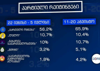 ვის მოემატა, ვის დააკლდა და რატომ? – რას ამტკიცებს “გორბი”?