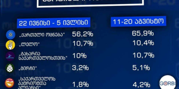 ვის მოემატა, ვის დააკლდა და რატომ? – რას ამტკიცებს “გორბი”?