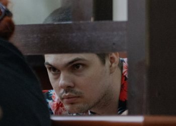 ანტონ ჩეჩინი თარჯიმანს და შსს-ს თანამშრომლებს ცრუ მოწმეობაში ამხელს