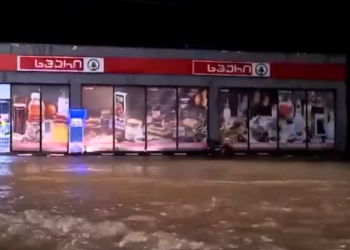 დატბორილი სახლები და განადგურებული ნაკვეთები – წალენჯიხაში უხვმა ნალექმა პრობლემები შექმნა