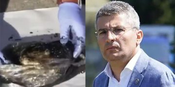 სუსის მტკიცებით, დიდი ოდენობით ასაფეთქებელი სარფის საბაჟომ ისე გამოატარა, რომ ეჭვიც არ შეუტანია