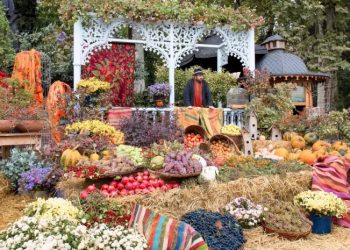 დღეს და ხვალ „თბილისობის“ დღესასწაული გაიმართება – ნახეთ, სად და რა ღონისძიებები გელოდებათ