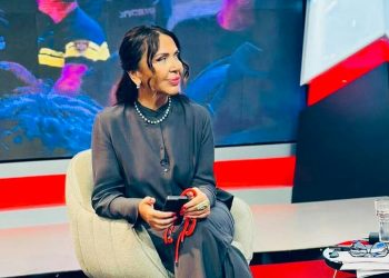 “თქვენს სახლებში ვნახე ასე შემოვარდნილი პოლიცია, ქოცებო!” – ინგა გრიგოლია