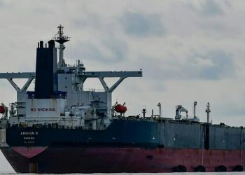 შემოსავლების სამსახური ადასტურებს, რომ ყულევის ნავსადგურში რუსეთიდან შემოვიდა თბომავალი