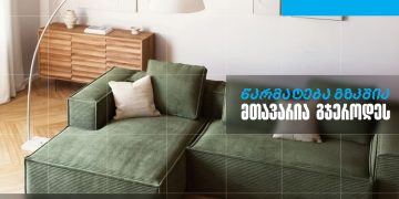 „ავოკადო“ – როგორ იქცა პანდემიის დროს დაბადებული იდეა წარმატებულ ქართულ ბრენდად – თიბისი