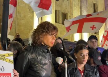 ,, ვინც ამ პროტესტს გულშემატკივრობთ, გთხოვთ, რომ დარეგისტრირდეთ წინააღმდეგობის გვერდზე” – თამარ ჩერგოლეიშვილი