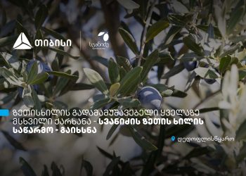 თიბისის მხარდაჭერით, დედოფლისწყაროში „სვანიძის ზეთისხილის“ საწარმო გაიხსნა