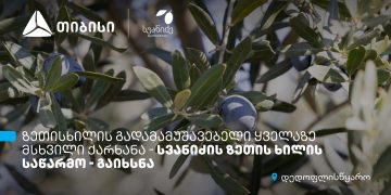 თიბისის მხარდაჭერით, დედოფლისწყაროში „სვანიძის ზეთისხილის“ საწარმო გაიხსნა