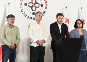 „ერთიანი ნეიტრალური საქართველო“ პარტიად ჩამოყალიბდა