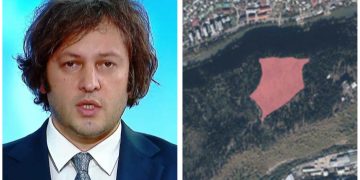 ბორჯომის 5 ჰექტარ ტყეს “ოცნება” 4 მილიონ ლარად ყიდის
