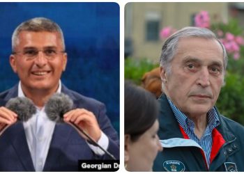 “სისულელა, მიხვიდე ბურჭულაძესთან და კითხო, ტყეში იარაღი ხომ არ დამარხა” – ადვოკატი