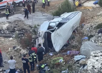 5 გარდაცვლილი და 14 დაშავებული – თურქეთში ავტობუსი თხრილში გადავარდა (ფოტო)