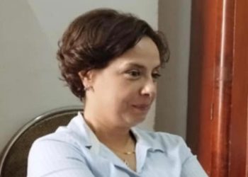 “ან ძალიან უტვინოები ხართ, ან ძალიან ვერაგი მოღალატეები!” – ელენე გოცაძე