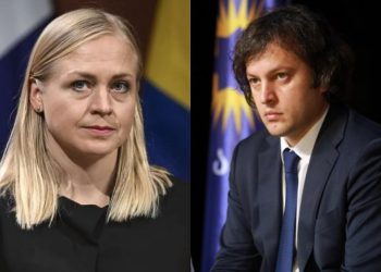 ელინა ვალტონენი ირაკლი კობახიძეს მიმართავს