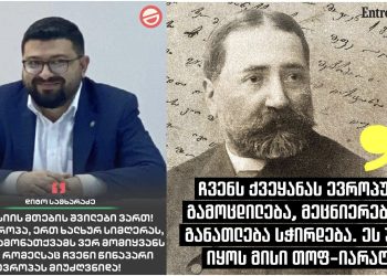 “ამ უვიცობას გამგებლები აზიარებენ თურმე და სადაც შეგხვდებათ, ეს უპასუხეთ” – ნანა დიხამინჯია