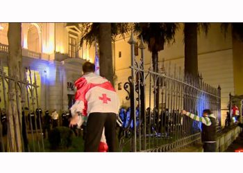 “ამდენი ადამიანი მართლა მოძალადე რომ ყოფილიყო, ეგ “სასახლე” სამჯერ იქნებოდა აღებული” – მარიამ ბაჯელიძე