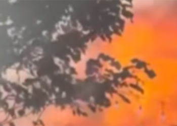 ხანძარი თბილისის ზღვასთან