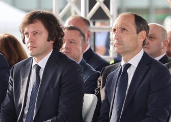 ლევან დავითაშვილი “ოცნების” მთავრობის წევრი აღარაა