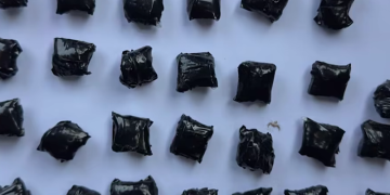 შსს: ამოღებულია „გამომშრალი მარიხუანა“, „მეთადონი“ „ალფა-პვპ“ და „მცენარე კანაფი“ – დაკავებულია 7 პირი