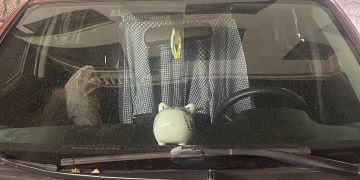 “ჩემს მანქანაში ჯერ ღორის ფორმის ყულაბა შევამჩნიე, მერე მძინარე კაცი. შეიძლება სადმე აბაზანაც აქვს მოშენებული” – წერილი სოციალური ქსელიდან