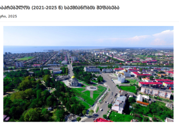 სავარაუდო კორუფცია და ნეპოტიზმი ფოთის საკრებულოში – TI-ს კვლევა