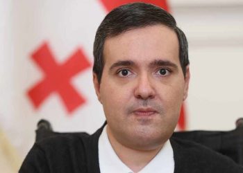 “წესრიგის სახელით თავისუფლების შეზღუდვა” – სიმონ პედრიდისი