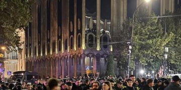 “თვითონ გადაკეტეს, ლენჩები” – ვიკა ბუკია