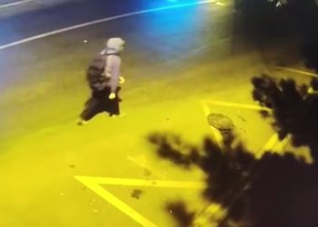 პროკურატურა ელისაშვილზე განცხადებას ავრცელებს და საქალაქო სასამართლოში სათვალთვალო კამერით გადაღებულ კადრებს ასაჯაროებს