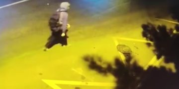 პროკურატურა ელისაშვილზე განცხადებას ავრცელებს და საქალაქო სასამართლოში სათვალთვალო კამერით გადაღებულ კადრებს ასაჯაროებს