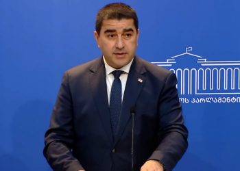 თუკი ვინმეს აქვს უკუსვლა, ეს სწორედ ევროკავშირის დღევანდელი მმართველი ინსტიტუციებია – პაპუაშვილი