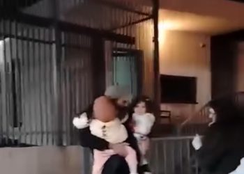 გიორგი მუმლაძემ 14-დღიანი პატიმრობის შემდეგ დროებითი მოთავსების იზოლატორი დატოვა